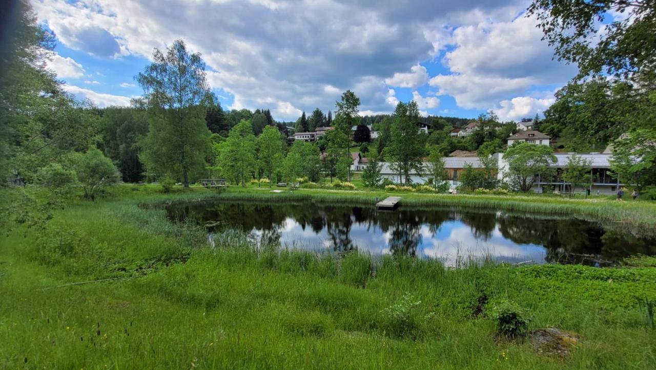 Ferienwohnung Grenzenblick Bayerisch Eisenstein Bagian luar foto